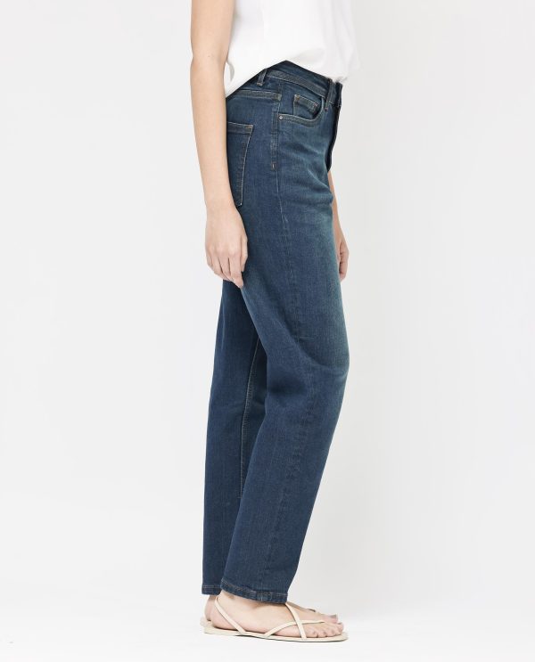 Blue Cotton Elastic Jeans