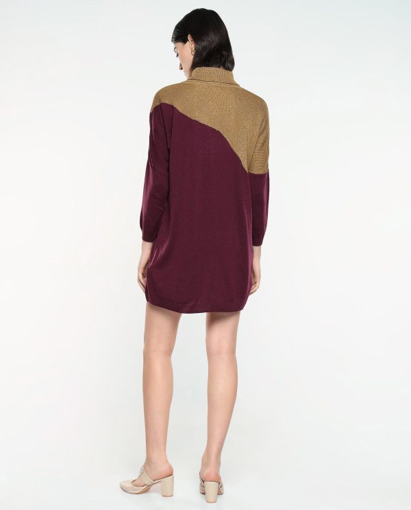 Waneta Maroon Plain Crew Neck Plain Sweater